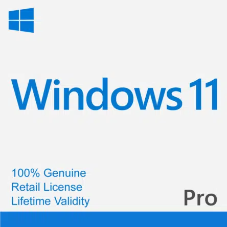 Windows 11